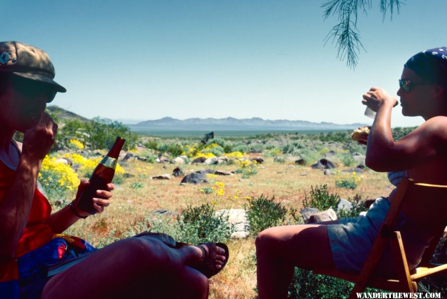 Mojave Road 1983