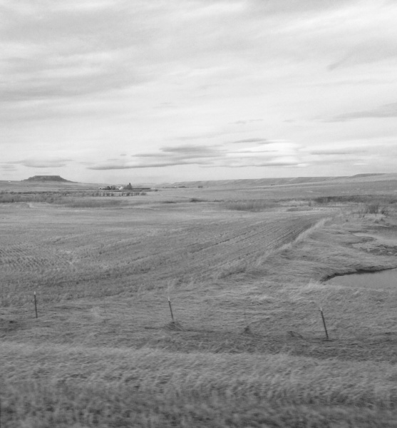 Montana black and white photo from truck cab