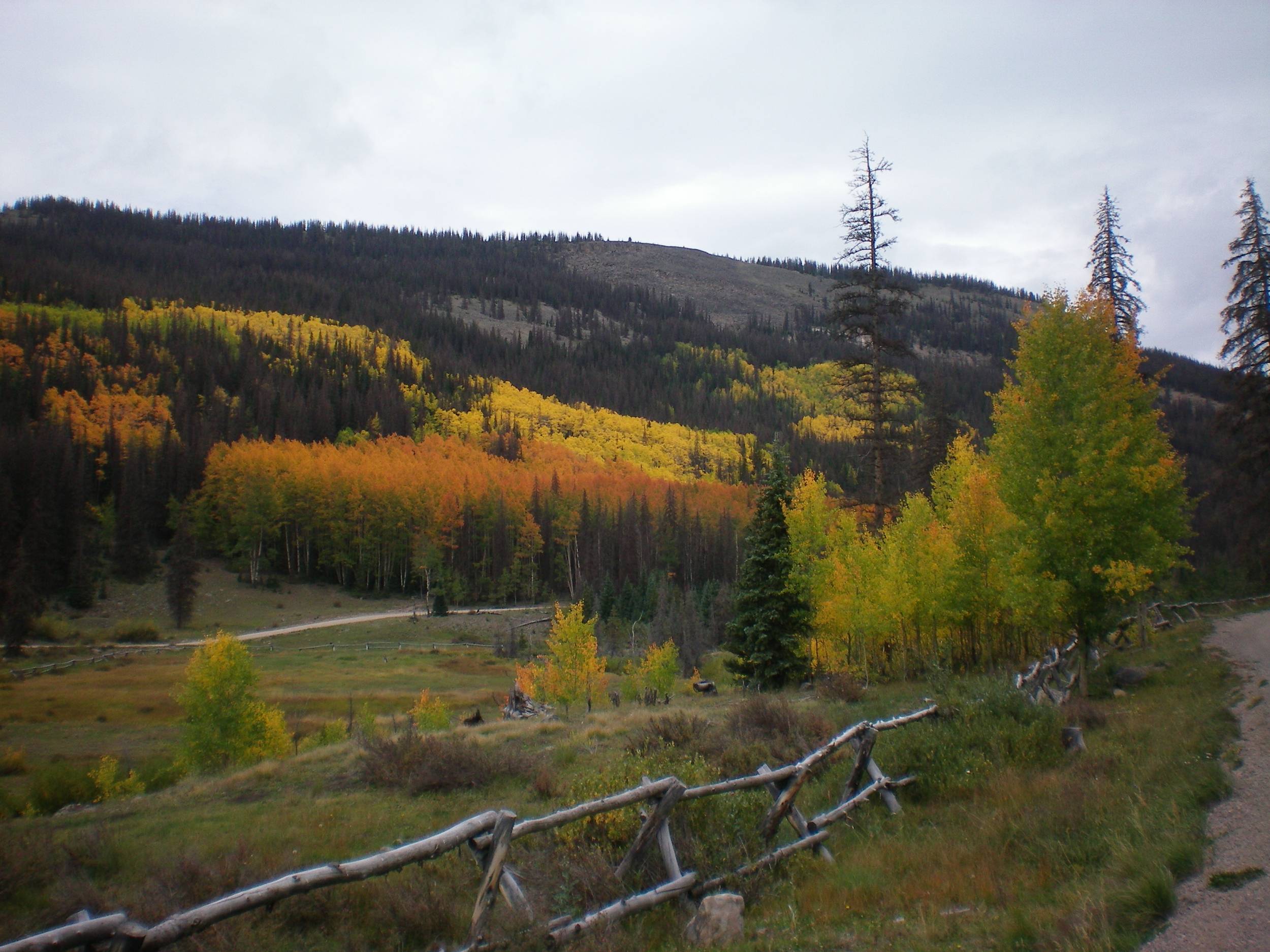 More Beautiful Aspens on The Bachelor Historic Tour drive .