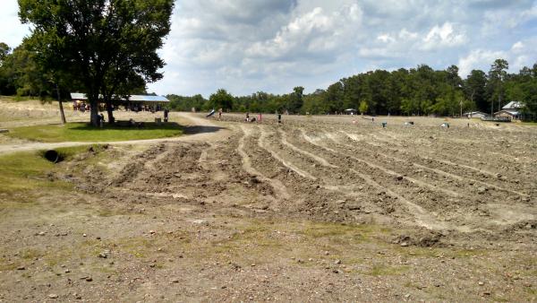 More field at Crater