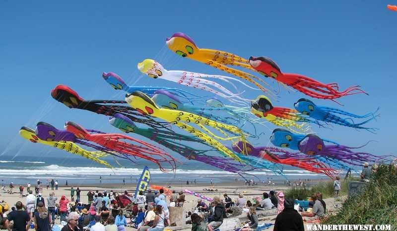 More Kites at D River