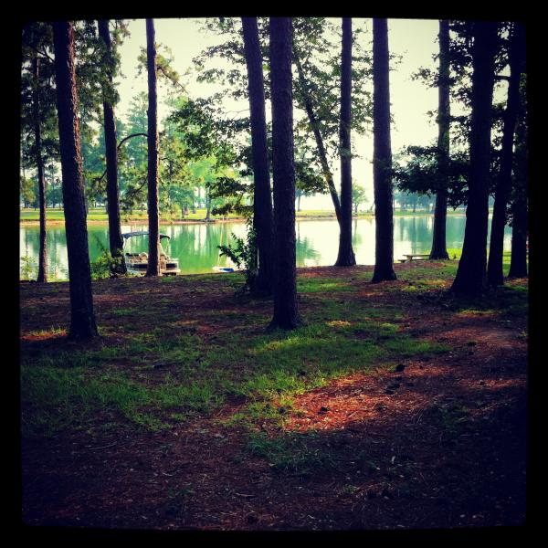 Morning view of Lake Martin