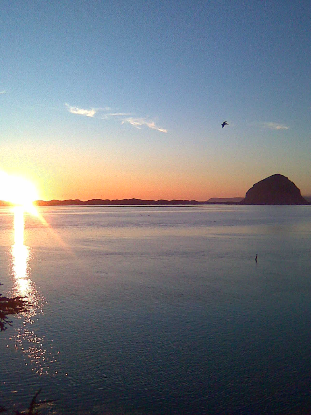 Morro Bay 1