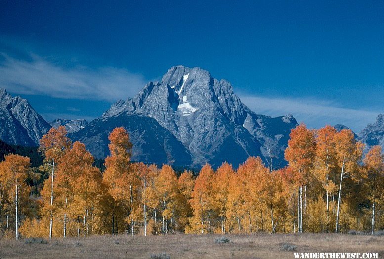 Mount Moran and aspens