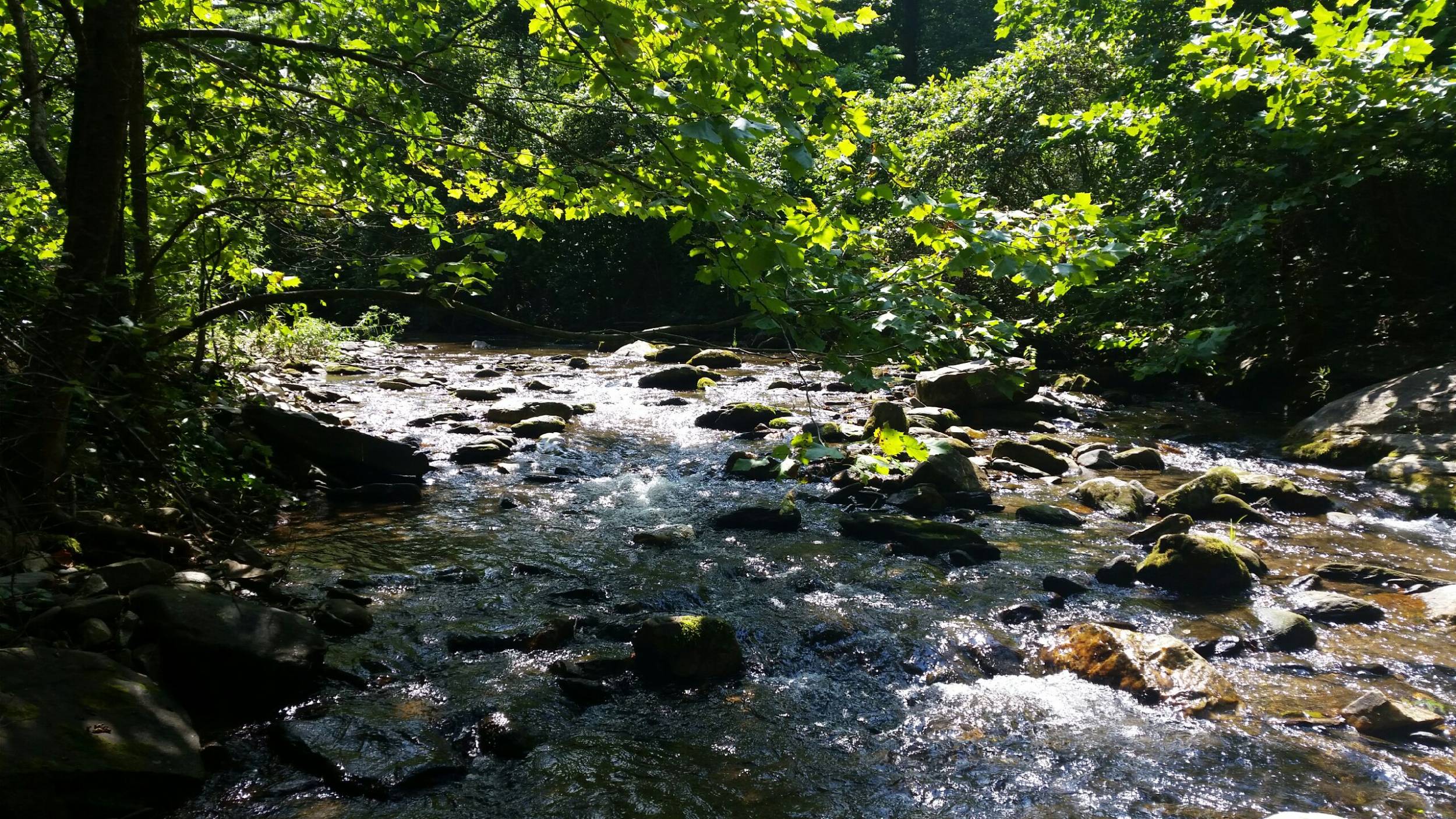 Mountain Stream RV Park, Marion, NC Site #17