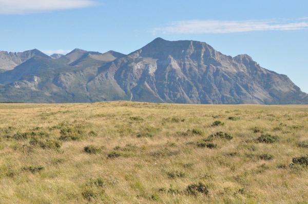 mountains behind the prairie