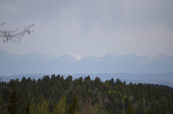 Mountains in the distance at Mueller State Park.