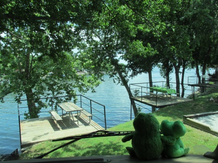 Mr. & Mrs. Frogs thinking, "What a view from the windshield!" Waters Edge,Grand lake,OK.