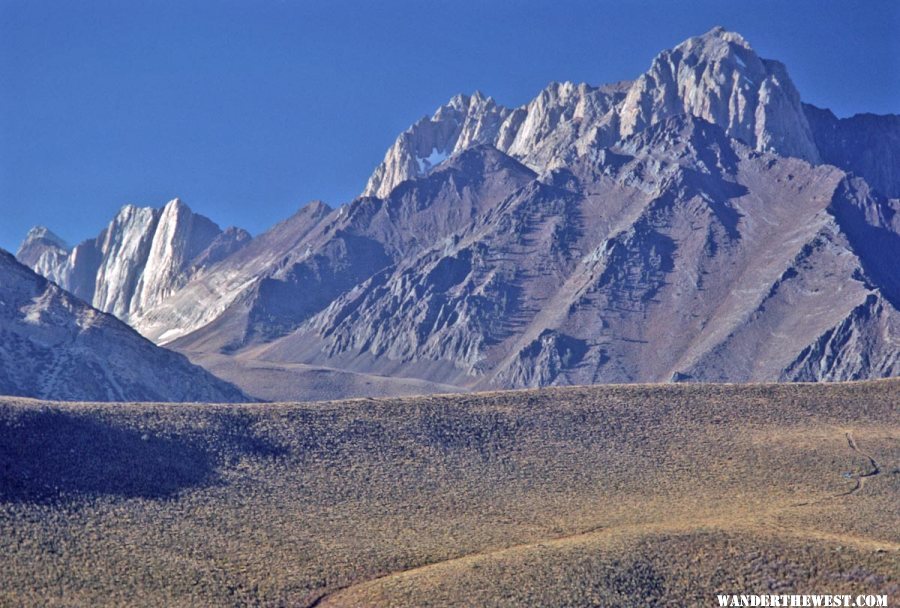 Mt Morrison from 395