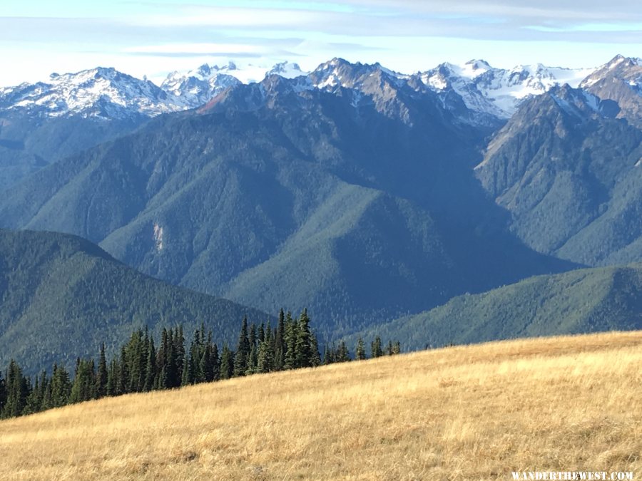 Mt. Olympus in Olympic National Park