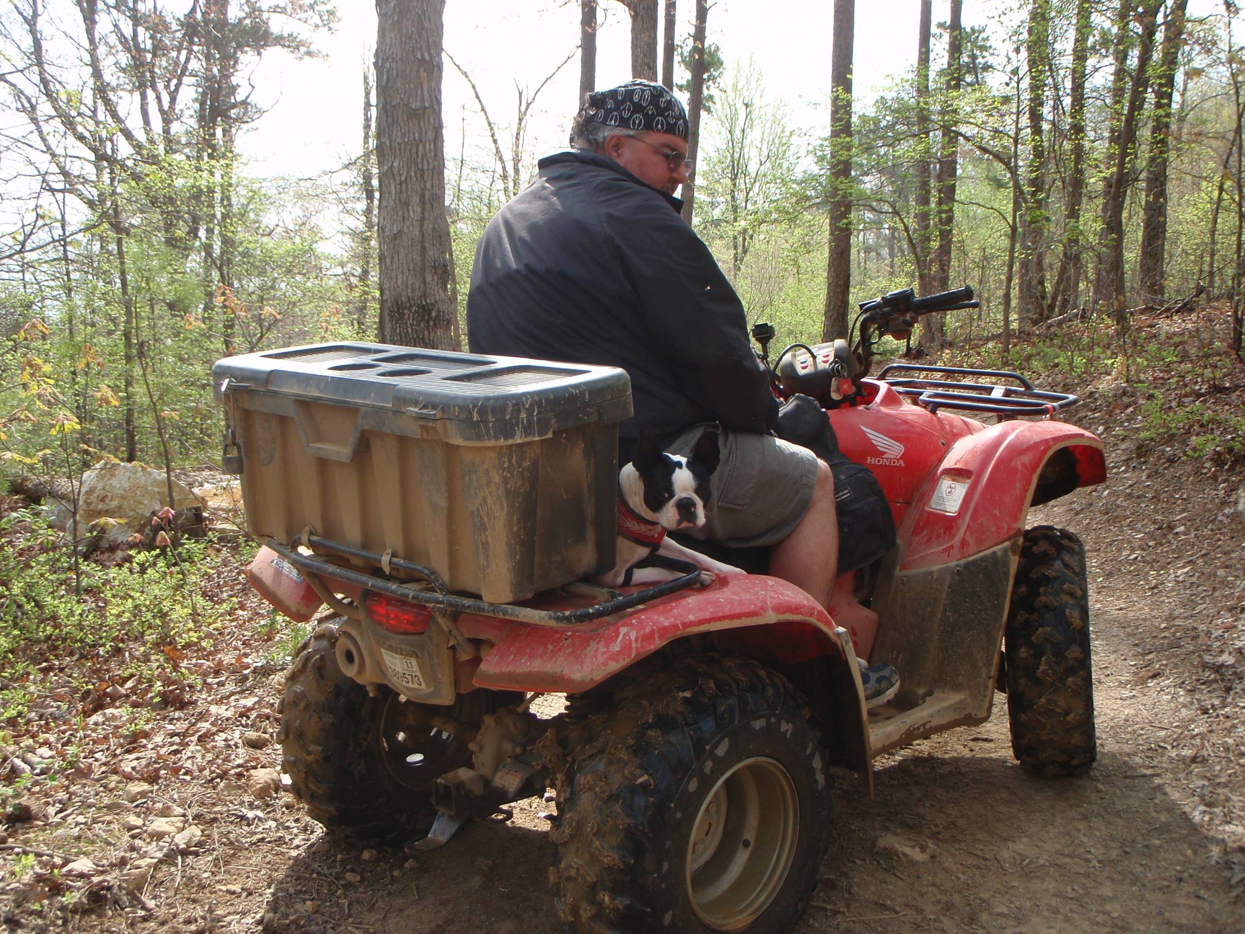 My Boston Enjoys ATVs