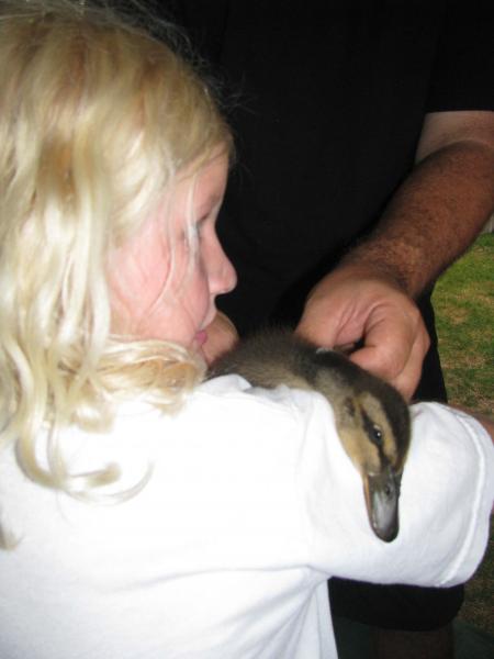 My daughter hanging onto a pet duck!