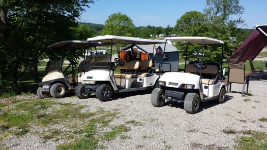 my golf carts
Left Clubcar 08 Precedent box on back gas
Middle 02 Ezgo Limo six seat 36Volt
Right 01 Ezgo four seat gas