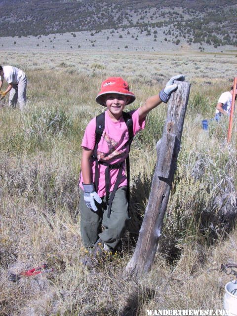 My son, at 8 years old, fence removal with ONDA, Hart Mt. NWR