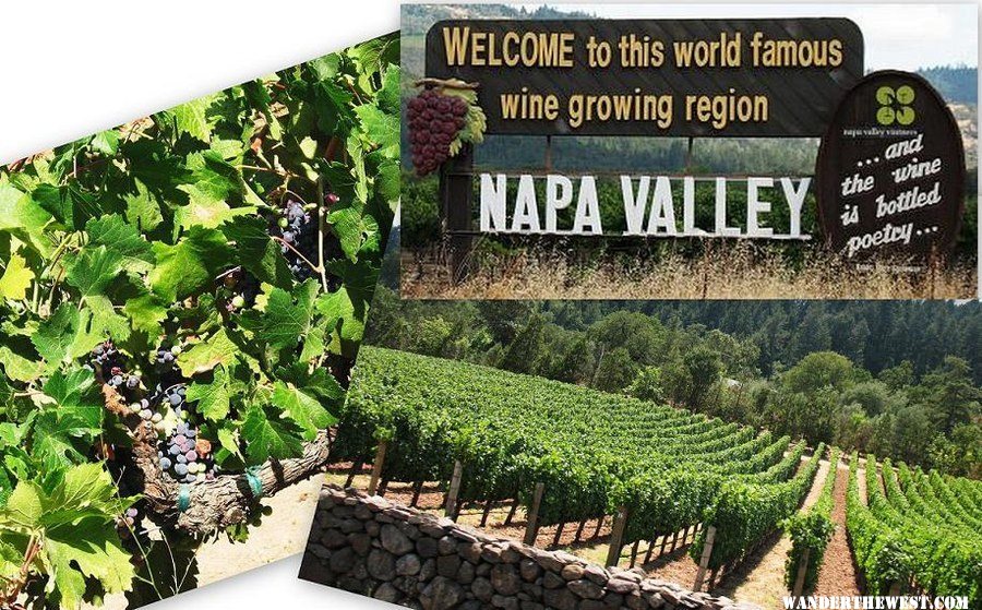 NAPA_sign.jpg