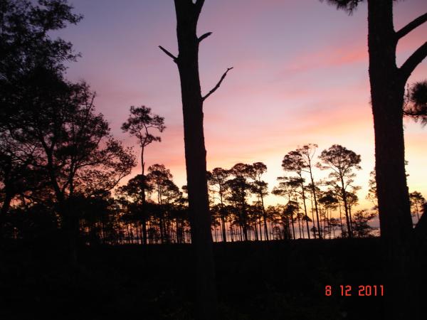 NAS Pensacola 003