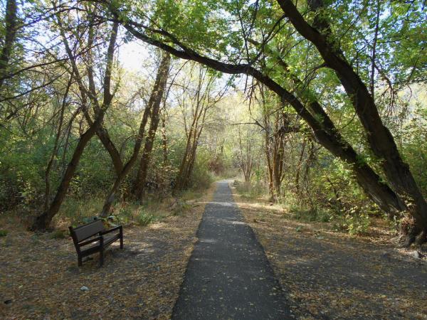 Nature trail at the Cherry Springs Recreational area south of Pocatello, ID. This is on the way up the mountain to Scout Mountain campground.