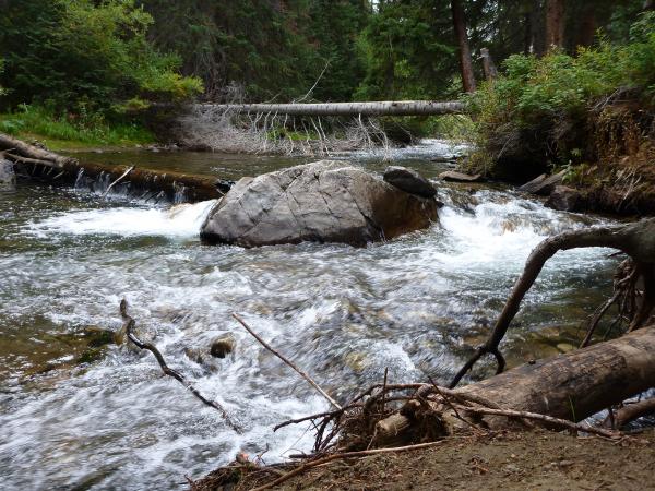 near rocky mountain area