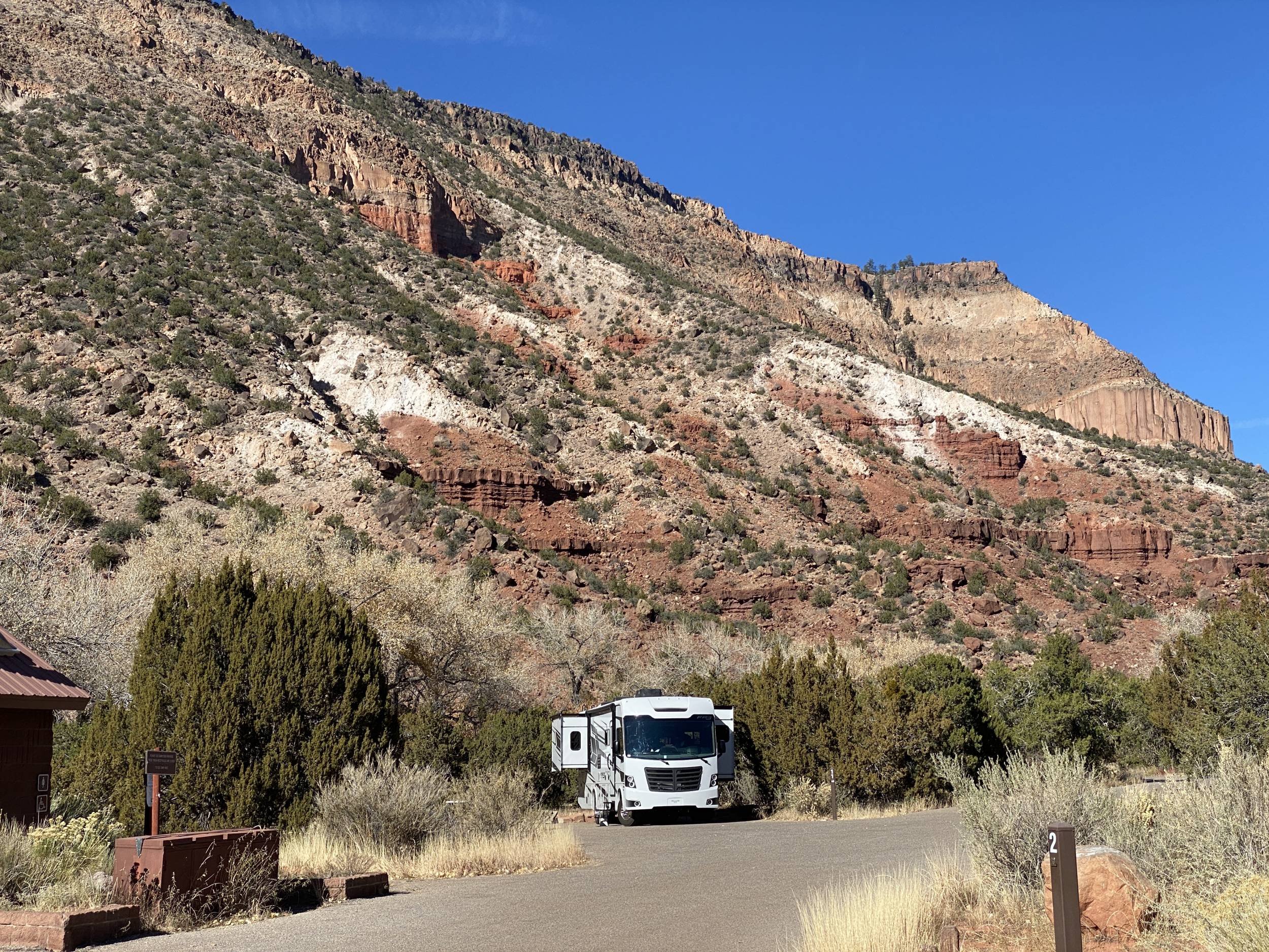 New Mexico Forest