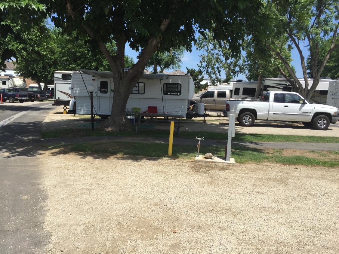 Nice and shady campsite, Castaic California; Near Valencia, California.