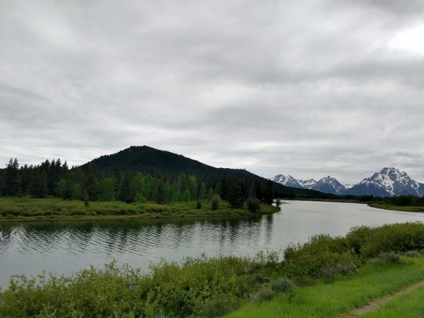 Nice early June image just a few miles in to the Tetons from Moran WY.