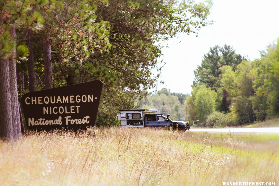 Nicolet National Forest