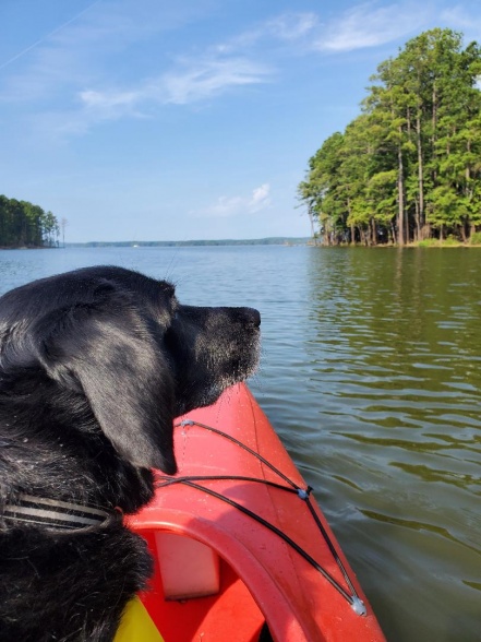 Nikki likes going for a paddle