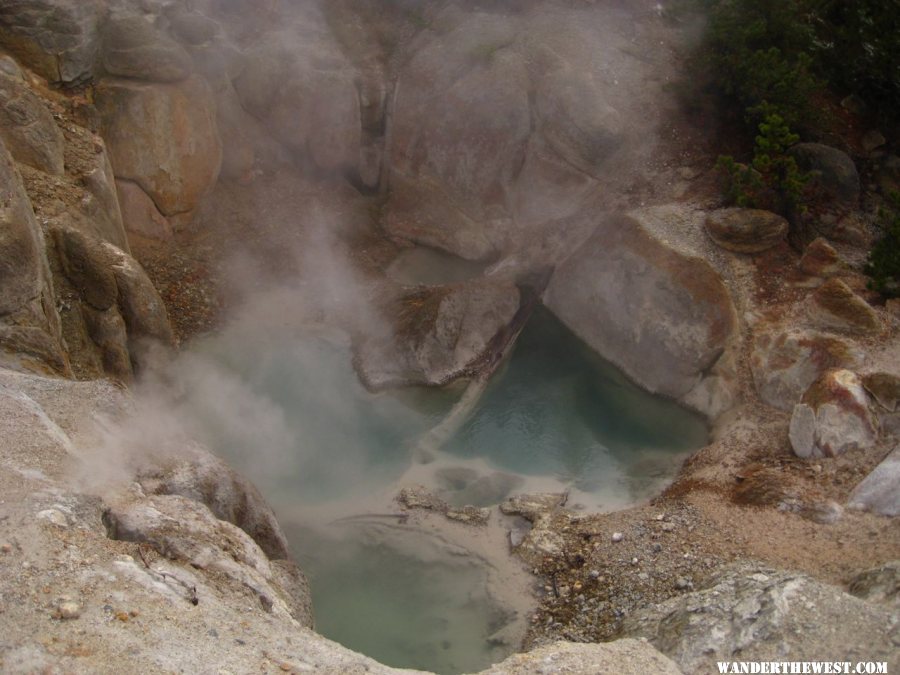 Norris Geyser Basin area