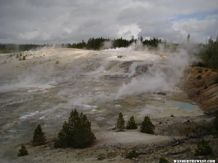 Norris Geyser Basin area