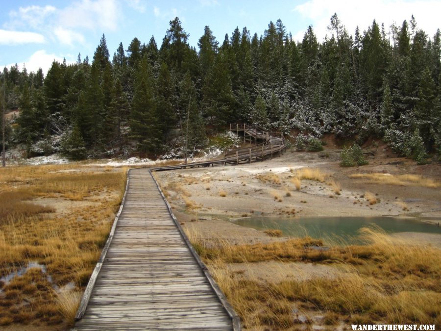 Norris Geyser Basin area