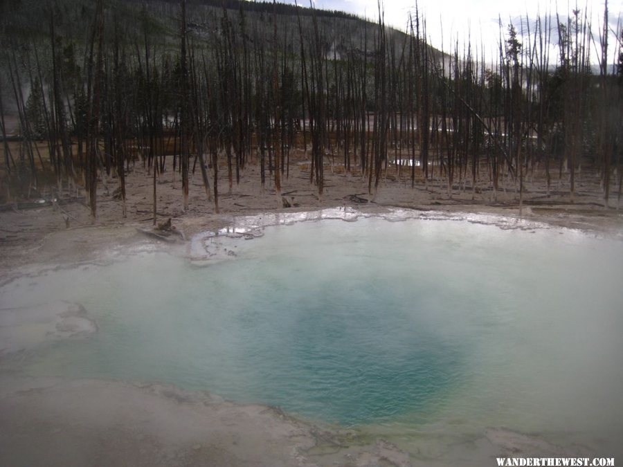 Norris Geyser Basin area