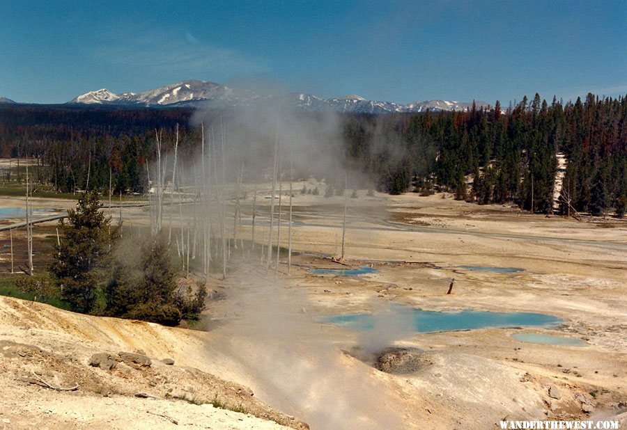 Norris Geyser Basin