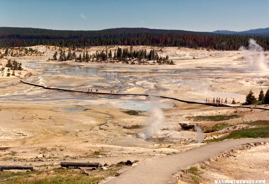 Norris Geyser Basin