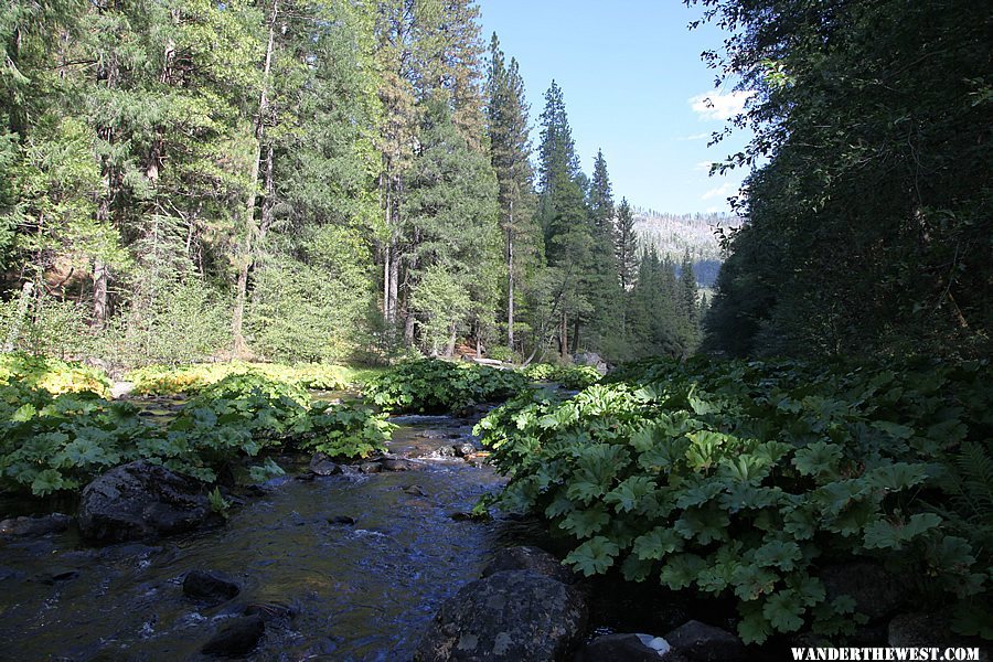 North Mokelumne River at Moore Creek Campground