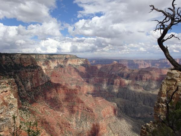 North Rim of Grand Canyon.