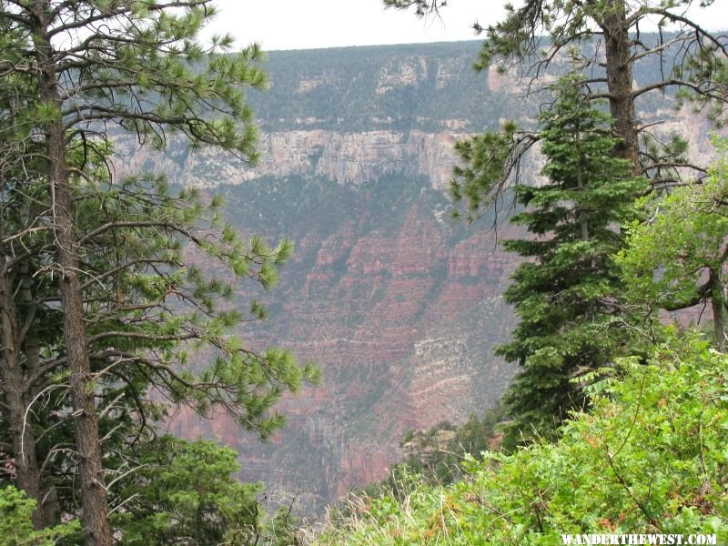 North Rim View 1