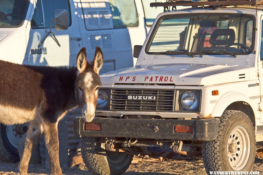 NPS payscale only attracts true desert folk