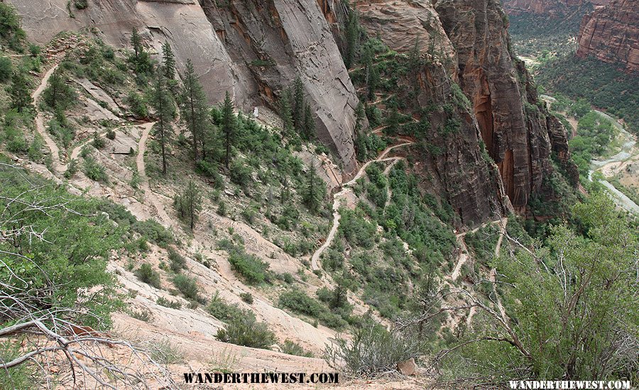 Observation Point Trail, Zion National Park