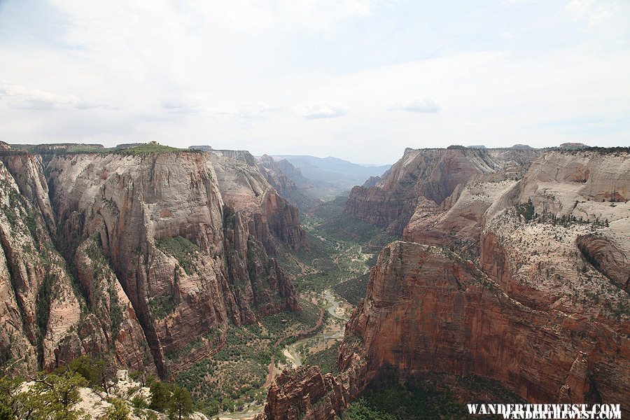 Observation Point Trail, Zion National Park