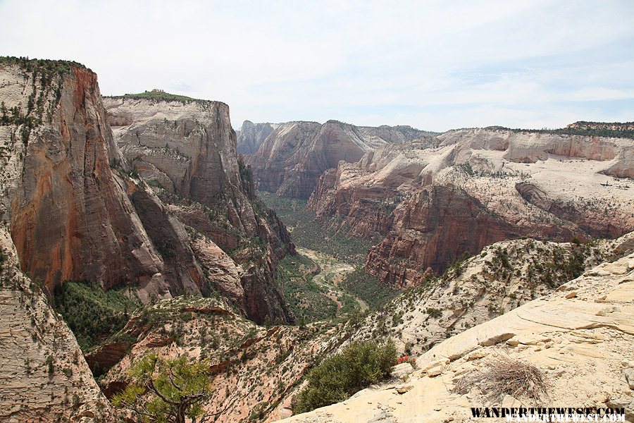 Observation Point Trail, Zion National Park