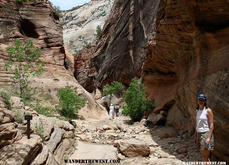 Observation Point Trail, Zion National Park