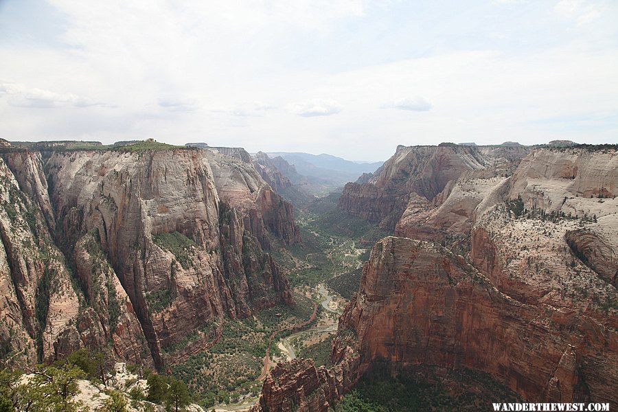 Observation Point Trail - Zion National Park