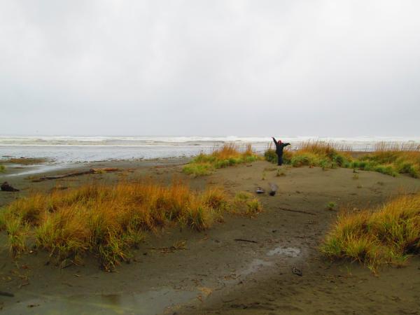 Ocean City,Wa 11-3-14