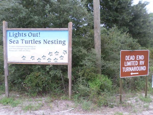 Oct.15. Forgotten Coast, FL.  Bald Point State Park