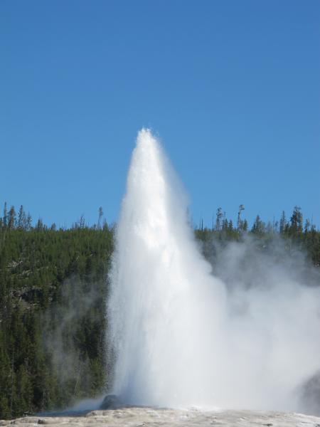 of course "Old Faithful"