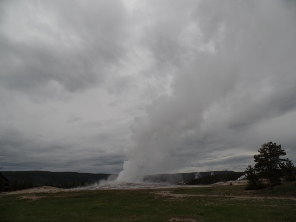 Old Faithful Eruption