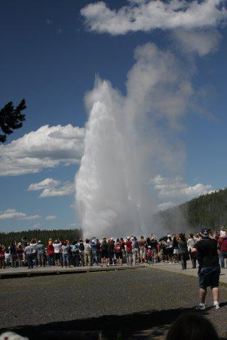 Old Faithful