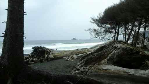 Olympic  Peninsula,  Washington