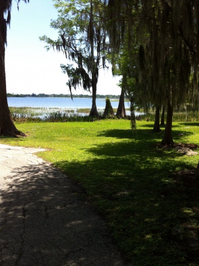 On the nature trail