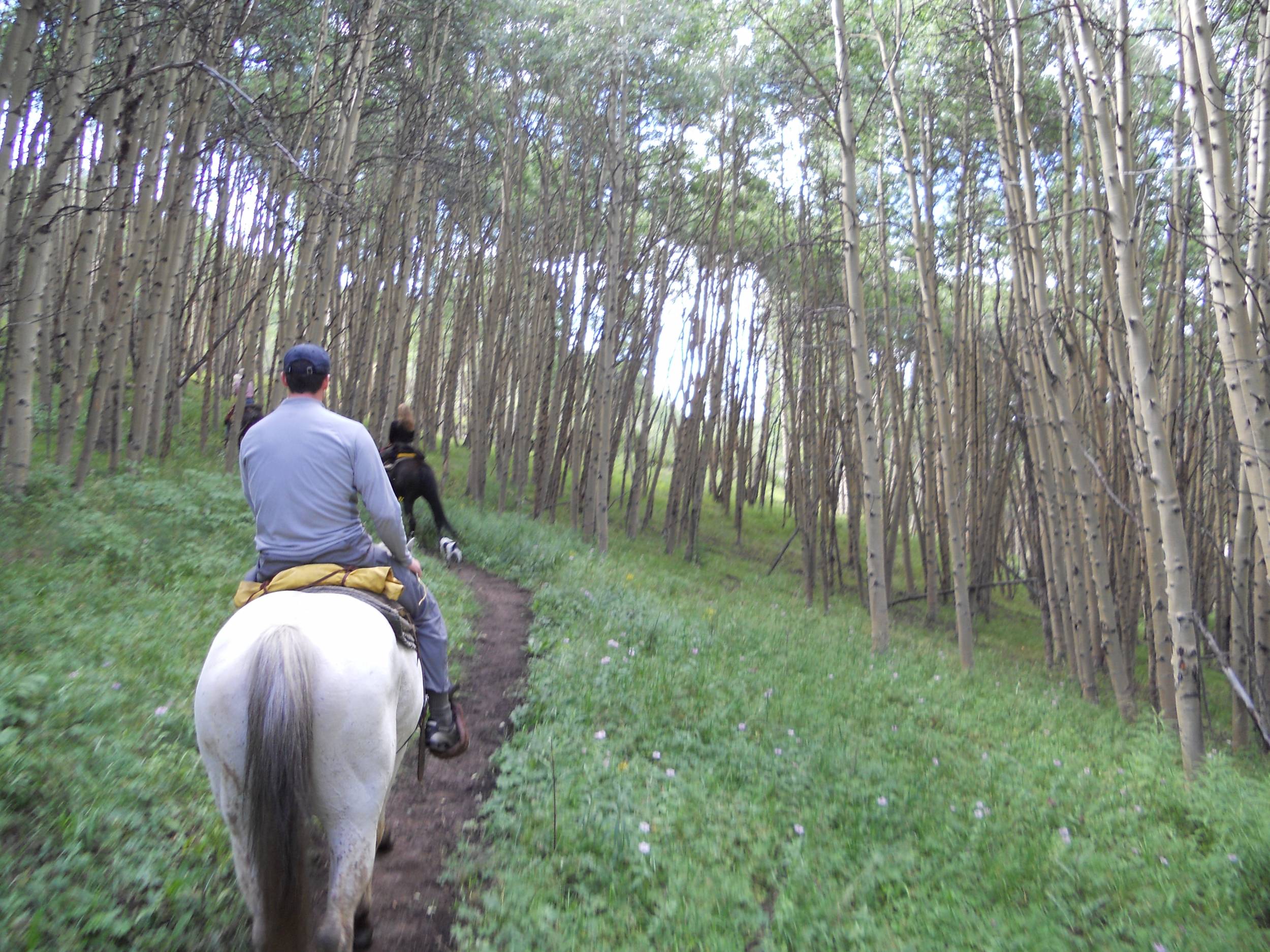 On the trail in Leadville,CO